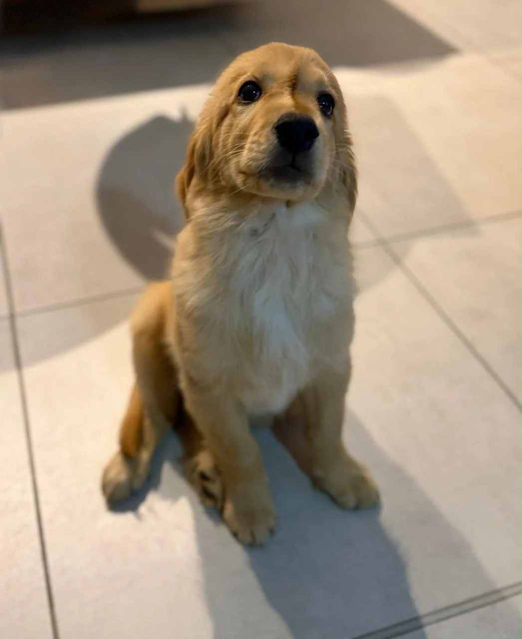 Dante a los 8 meses, mordiendo un palo de café