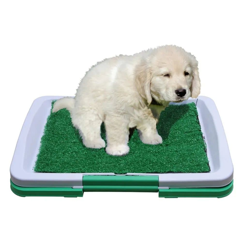 Baño de Césped para Perros